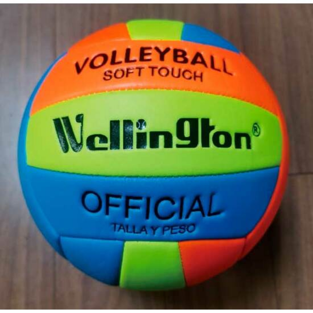 Balón volleyball oficial