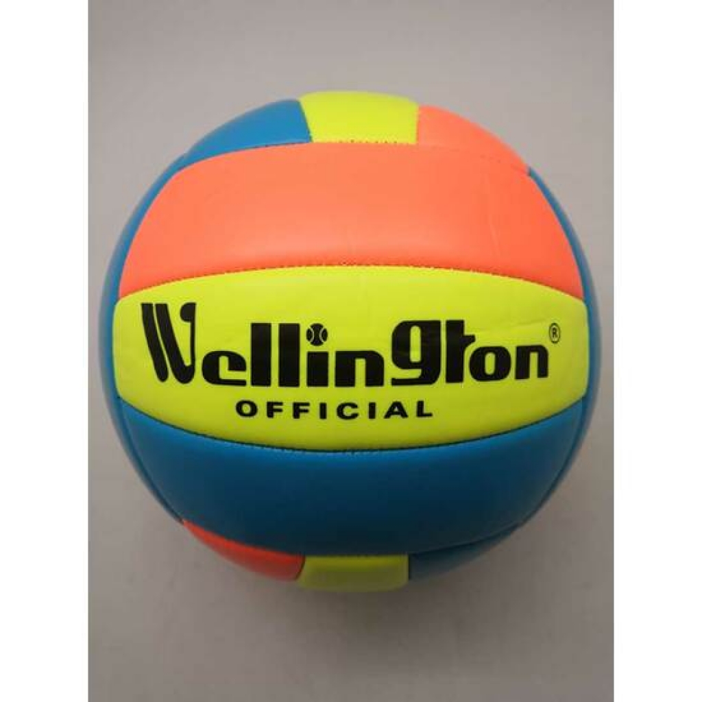 Balón mini volleyball oficial
