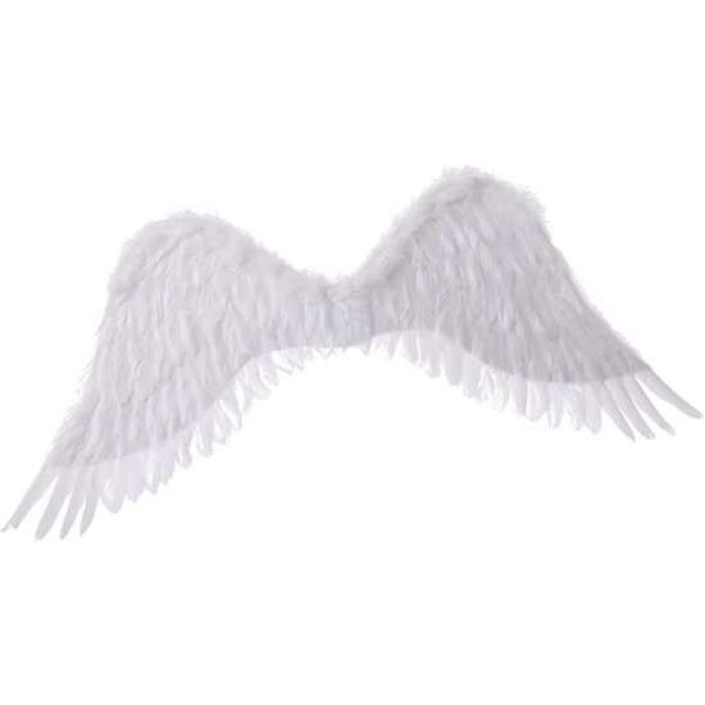 Alas de ángel blancas 94 x 29 centímetros